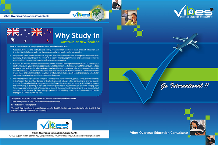 Vibes Education print brochure design