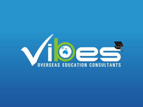 Clients - Vibes Education